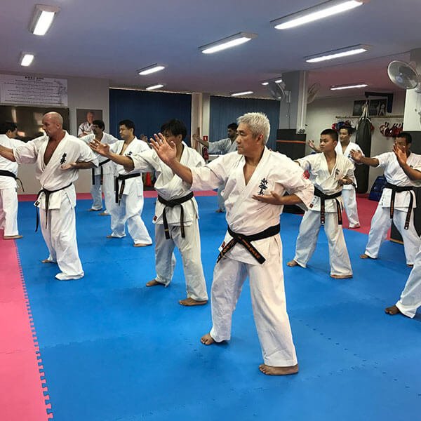 Karate Kumite - Olympic Dream India